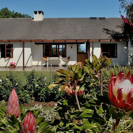 Heatherhill Farmhouse - Sea & Mountain Views Plettenberg Bay Eksteriør billede