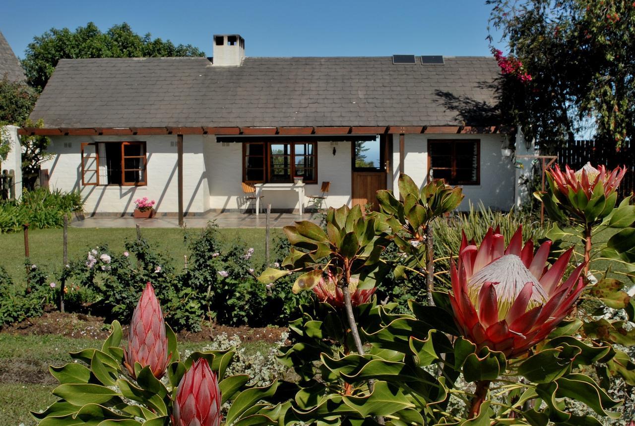 Heatherhill Farmhouse - Sea & Mountain Views Plettenberg Bay Eksteriør billede