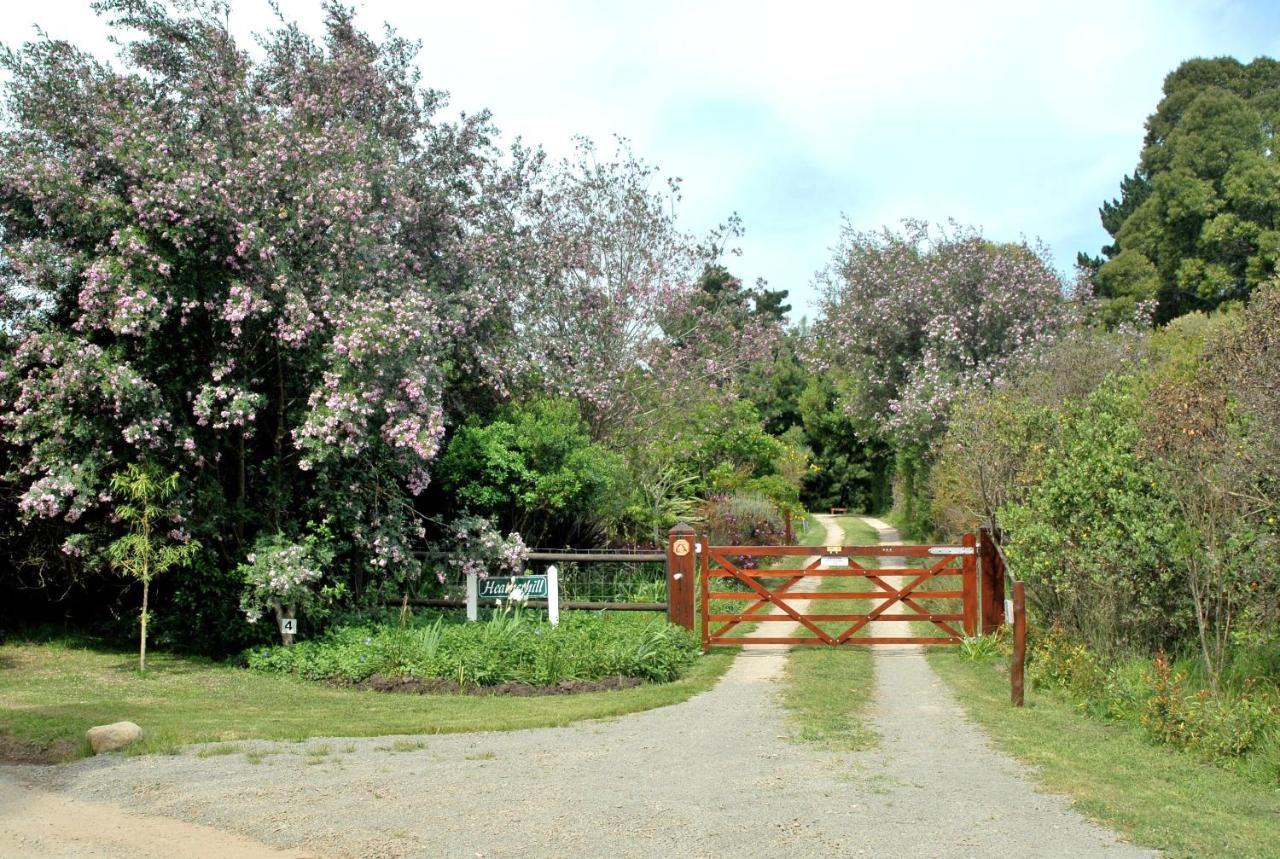 Heatherhill Farmhouse - Sea & Mountain Views Plettenberg Bay Eksteriør billede